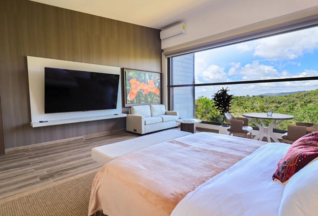 Dormitorio de Canopy Suite con sala de estar y vistas de montaña