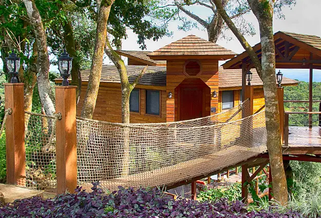 Exterior de treehouse con puente de cuerda rodeado de bosque