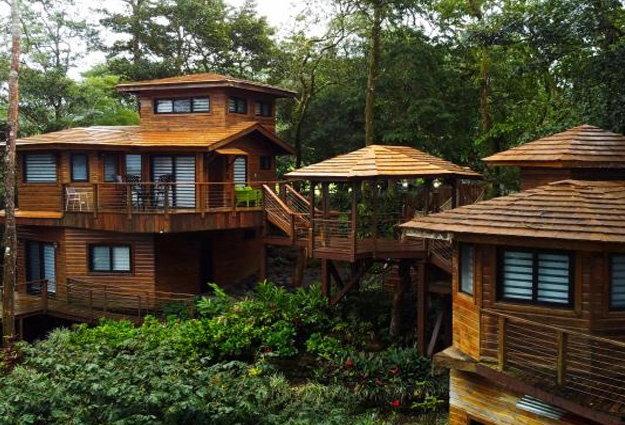 Treehouses de Lucero enclavadas en el dosel del bosque